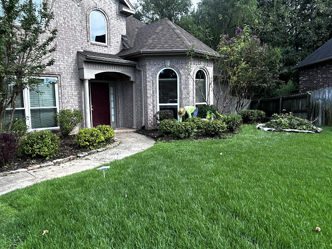 A house with a lawn in front of it